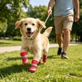 thumbnail image 6 of 4PC Dog Shoes for Hot Pavement, Breathable Mesh Non- Paw Protectors, Reflective Design Booties for Small Dogs, Cats, Puppy, Indoor and Outdoor Daily Use, Adjustable Straps, 6 of 8