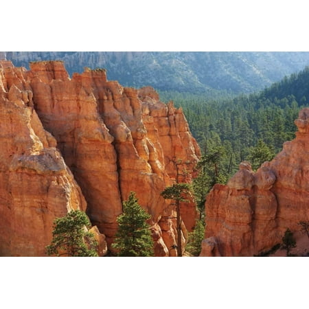 Eroded Landscape in Bryce Canyon at Peekaboo Trail, Usa, Utah, Bryce Canyon National Park Print Wall Art By Frank