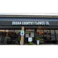 thumbnail image 4 of Urban Country Flower Co. Dogs Don't Stink Gift Basket, 4 of 6