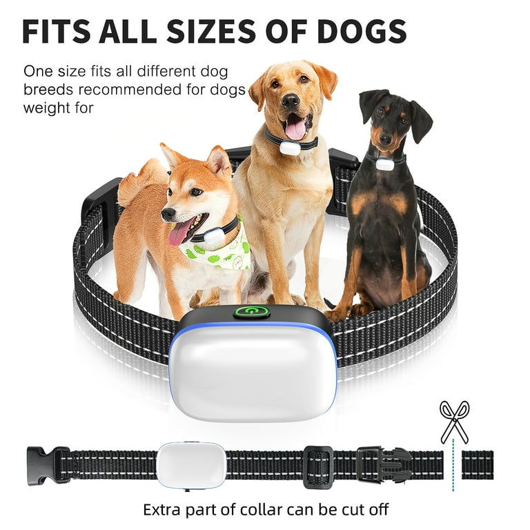 PcEoTllar Double Puppy Dog Training Collars with Light Correction - Main Image