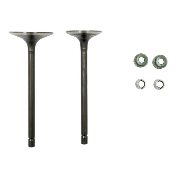 Valvula Admision/Escape Set Italika Dm 250 (20-22) (Wstd)