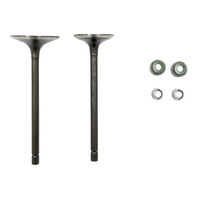 Valvula Admision/Escape Set Italika Dm 250 (20-22) (Wstd)