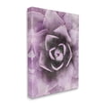 thumbnail image 3 of Modern Purple Succulent Leaves Botanical & Floral Graphic Art Gallery Wrapped Canvas Print Wall Art, 3 of 7