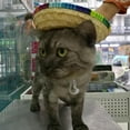 thumbnail image 6 of Dog Sombrero Hat Pet Adjustable Sun Hat Cute Woven Straw Hat Costume for Puppy and Cats, 6 of 7