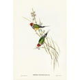 thumbnail image 2 of Gould, John 17x24 Black Modern Framed Museum Art Print Titled - Beautiful Grass Finch-Poephila mirabilis, 2 of 4