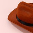 thumbnail image 5 of Spice Up Your Pet's Look with This Adorable Cowboy Hat!, 5 of 5