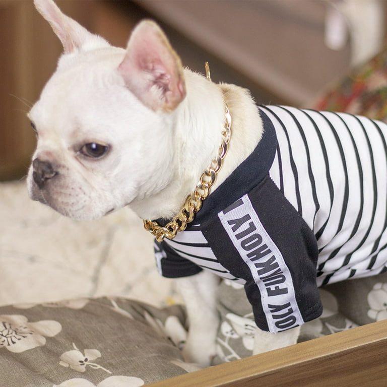 Off white collar for dogs cheap