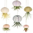 thumbnail image 2 of 6 Pieces Hanging Sea Urchin Hanging Air Plant Holder Mini Shell Hanging Pot Assorted Colors 6 Styles Cute Succulent Display Container with Rustic Rope for Garden Beach Theme Party for Craft and Decor, 2 of 7