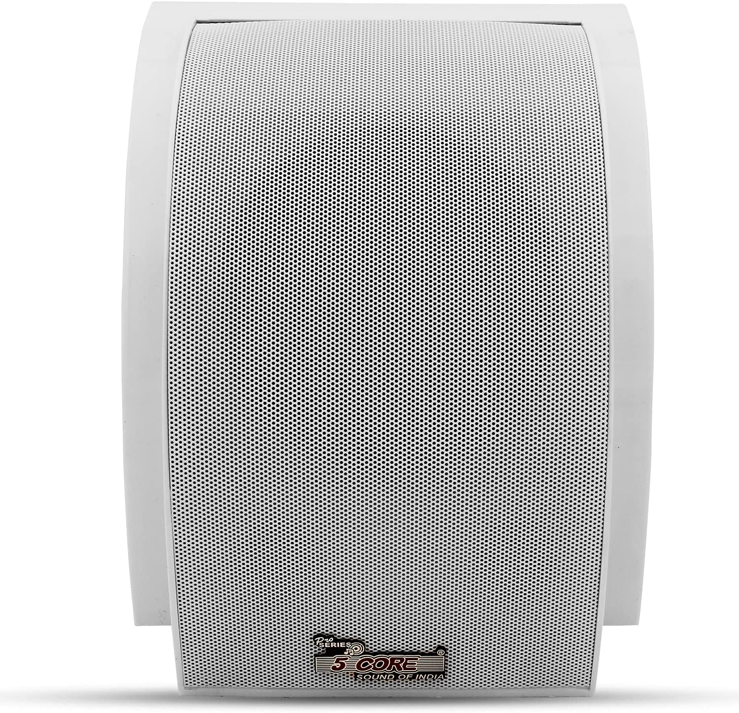 5 Core Indoor Wall Mount PA Speaker 6.5 Inch 30 Watt Surface