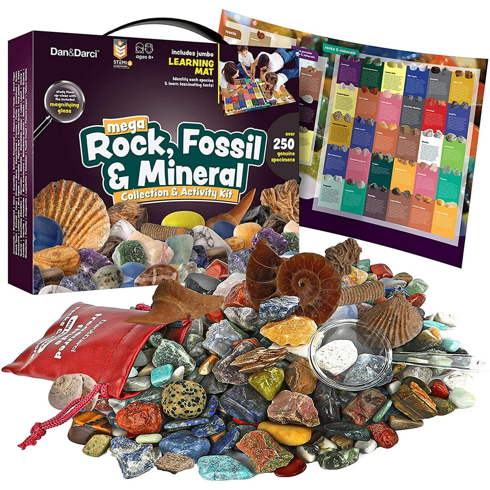 mega fossil kit