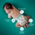 thumbnail image 4 of 2X - Pampers Baby Dry Baby Diapers Size 5 (27+ lbs) 24 count, 4 of 5