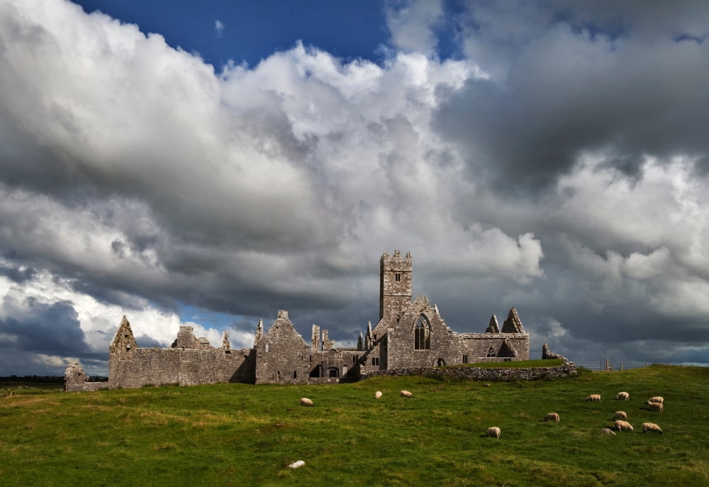 Ross Errilly Franciscan Friary (1351) despite being expelled by Cromwell in 1656 the monks returned finally abandoning the friary in 1753 Near Headford County Galway Ireland Canvas Art - Panoramic Ima