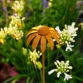 thumbnail image 2 of Stable Iron Garden Echinacea Ornaments Rustics Landscape For Soil Placement, 2 of 8