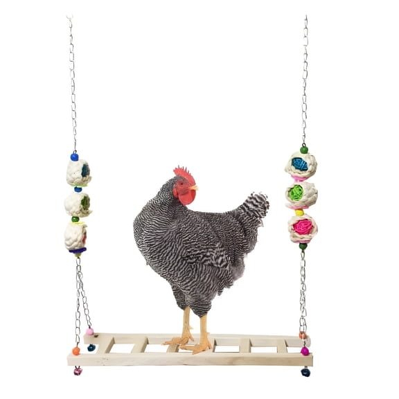 BESTSKY Chicken Toys for Coop, Chicken Swing Chicken Toys, Chicken Accessories