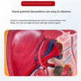 thumbnail image 2 of Female Vagina Anatomical Model Lifesize Median Sagittal Section, 2 of 5