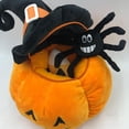 thumbnail image 4 of Conjunto De Juguetes De Peluche De Calabaza Para Halloween Scienceny HA037569-00, 4 of 6