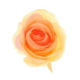 thumbnail image 4 of 10 cabezas de flores de rosas Cabezas de rosas artificiales para la decoración de en hogar champán, 4 of 9