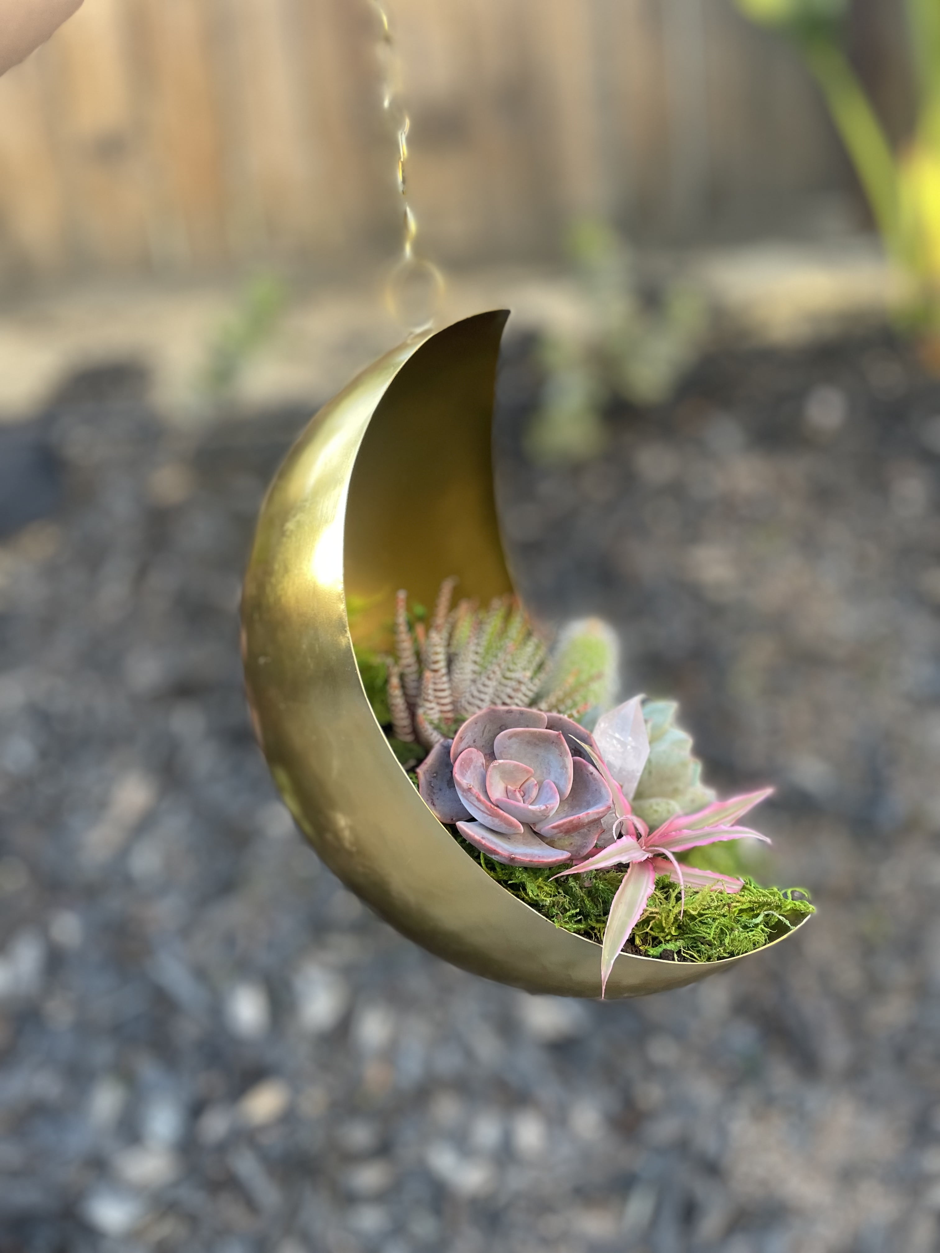 Hanging Metal Moon Planter | Metal Moon Hanging Planter | Moon Pot | Gold Stars Planter | Indoor Planter | Lunar Planter for Succulents | Unique Planter | Valentines Day Gift