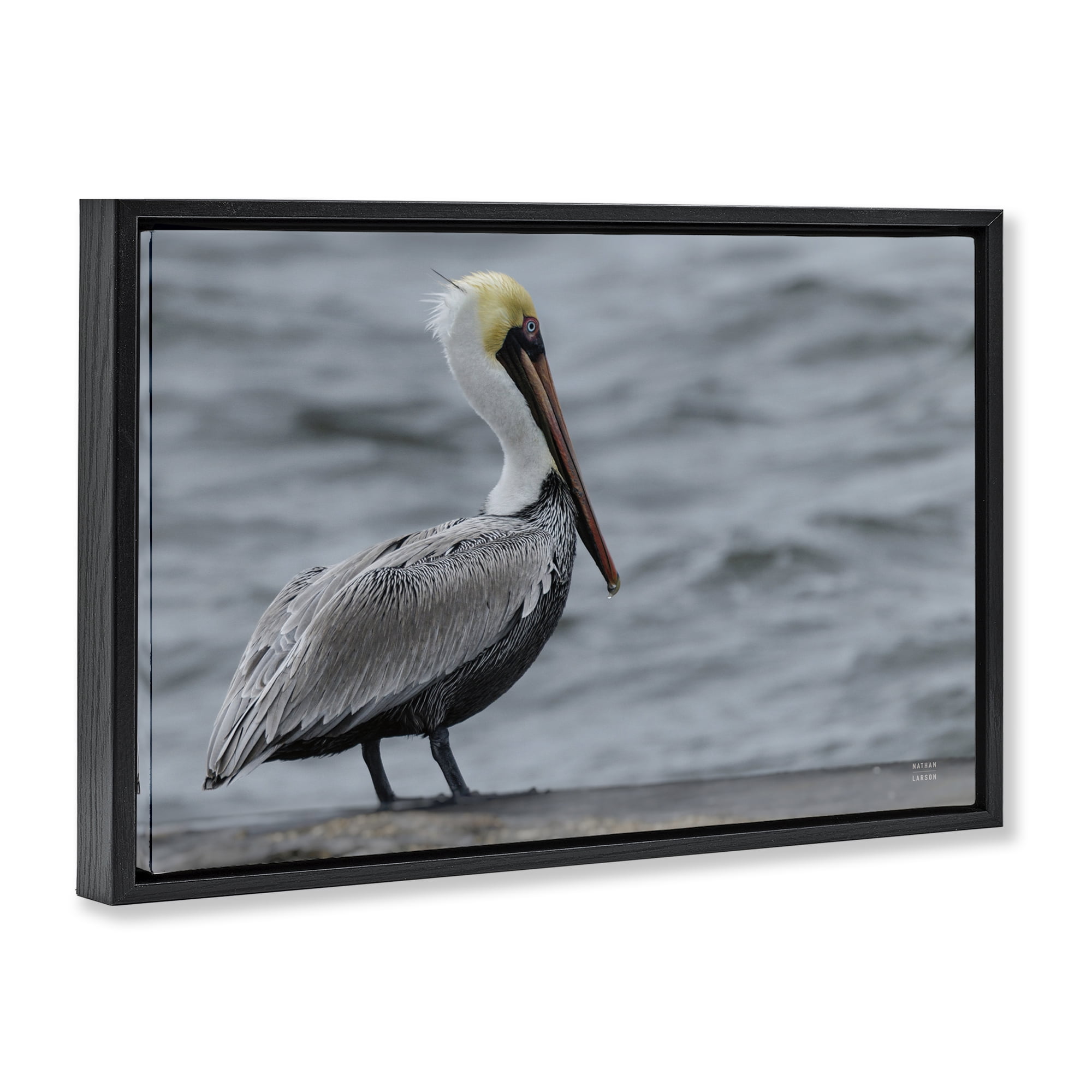 Stupell Industries Pelican Watch Photography Black Framed Floater Canvas Wall Art, design by Nathan Larson