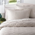 thumbnail image 1 of Nikki Chu  Brushed Velvet Down Alternative Blanket Pewter Twin, 1 of 5