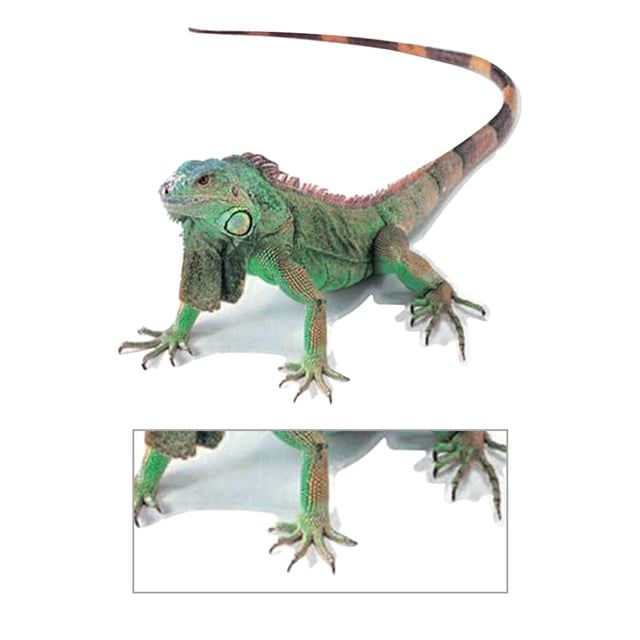 Kenally 3D araña lagarto escorpión 3D pegatina parachoques cuerpo PVC adhesivo ventana espejo adhesivo Decoración Automoción decorativa y accesorios No.02 Kenally VI000311-02
