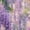 Color 2, variant on Peel and Stick Wallpaper Whimsical Nature Rabbits Birds Floral Elements 24in x 118in Contact Paper Removable Self Adhesive Wall Mural Wall Decor for Bedroom Kitchen Cabinets