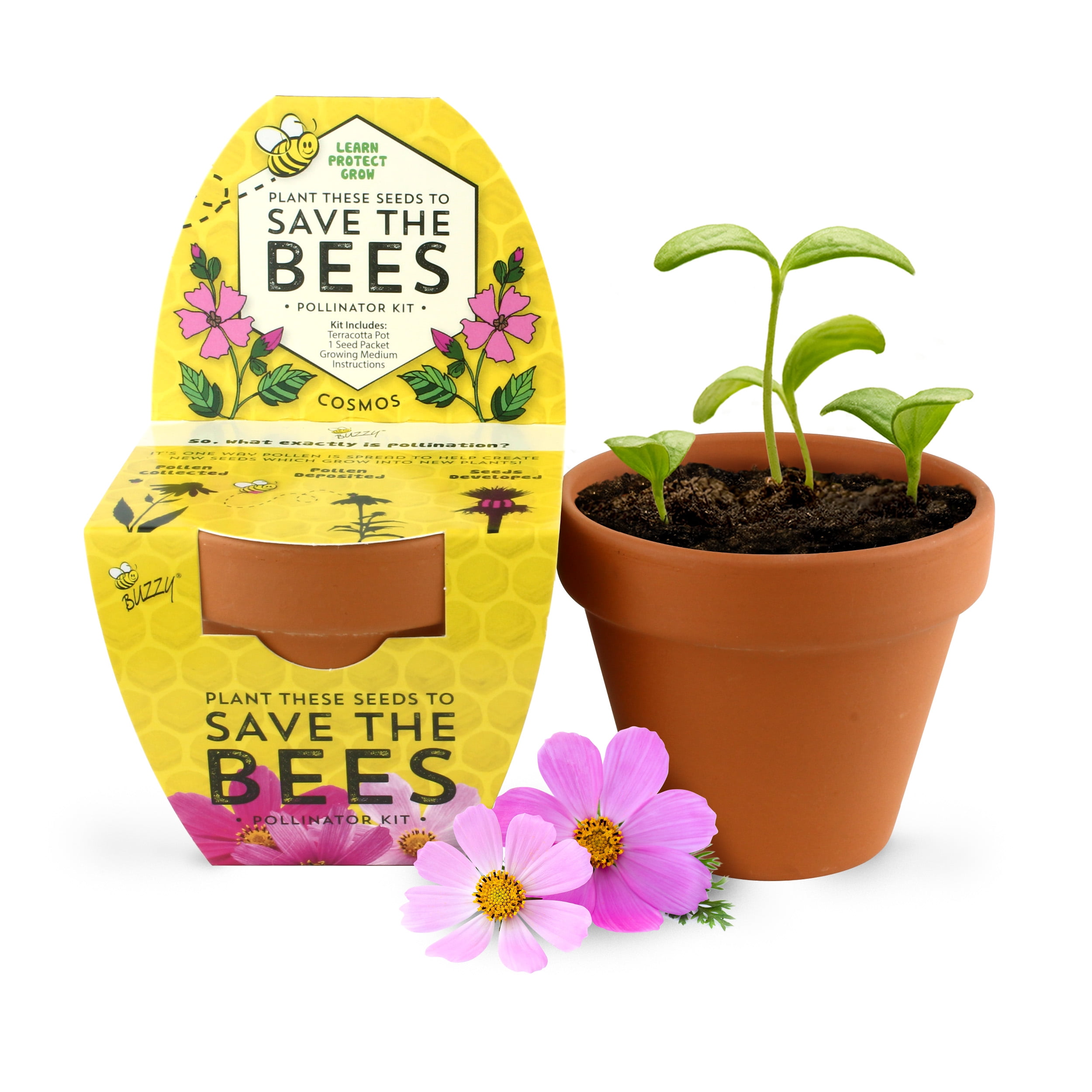 BUZZY Classic Terracotta Grow Kit Save the Bees Series Cosmos