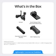 DJI RS 4 3-Axis Gimbal Stabilizer with Enhanced Vertical Shooting