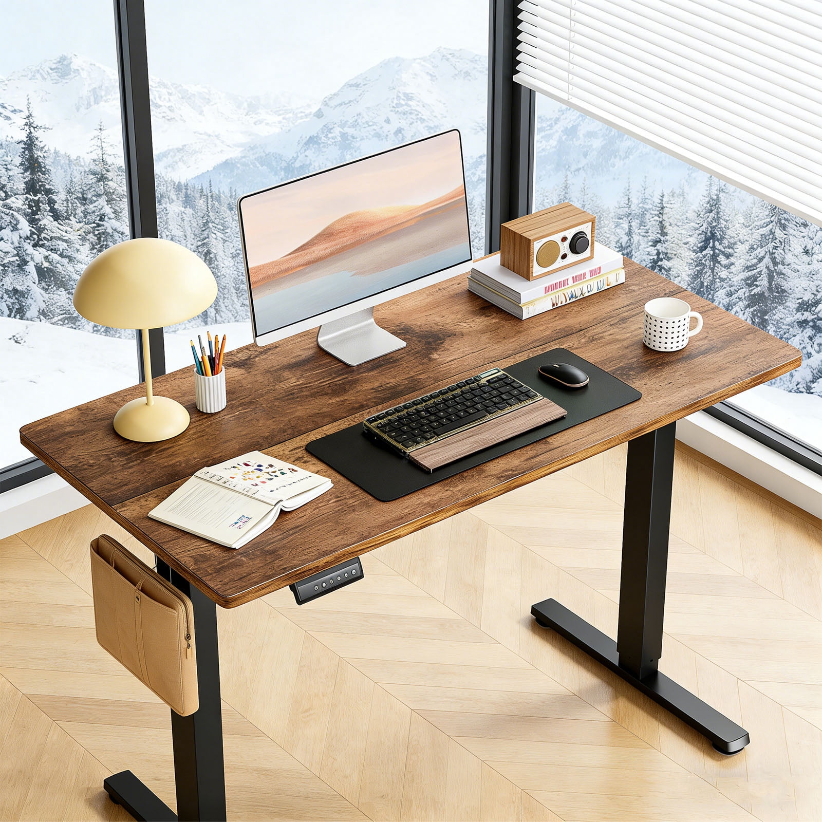 Casabay Electric Height Adjustable Standing Desk, 48"x24" Sit-to-Stand Desk Ergonomic Rising Computer Table for Home Office