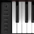 thumbnail image 3 of 56.7" x 18.9" x 15.7" 88-Keys Weighted Digital Piano for Beginners, Triple Pedals, Function, Power Adapter, 3 of 6
