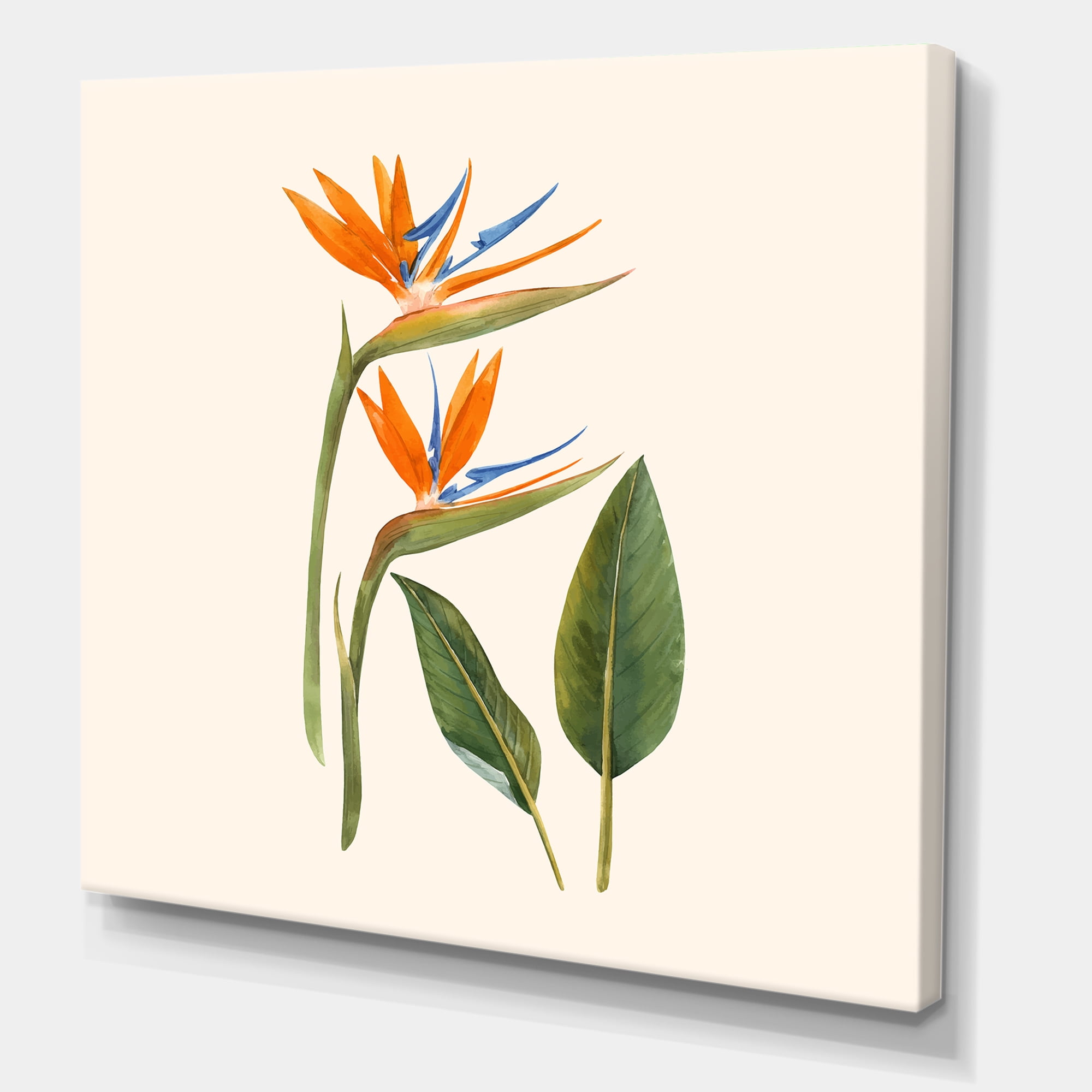 Designart ' Ancient Strelitzia Flowers ' Traditional Canvas Wall Art Print