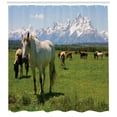thumbnail image 3 of Ambesonne National Parks Shower Curtain, Horses, 69"Wx75"L, Multicolor, 3 of 3