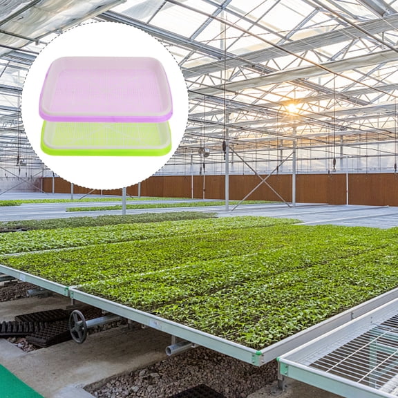 Kesenlong grower 4 Set Sprouting Basins Soilless Sprouter Trays Water Planting Containers Nursery Site for Wheatgrass Soybean Mung (Random Color, 1 Set Includs a Tray and a Grid)