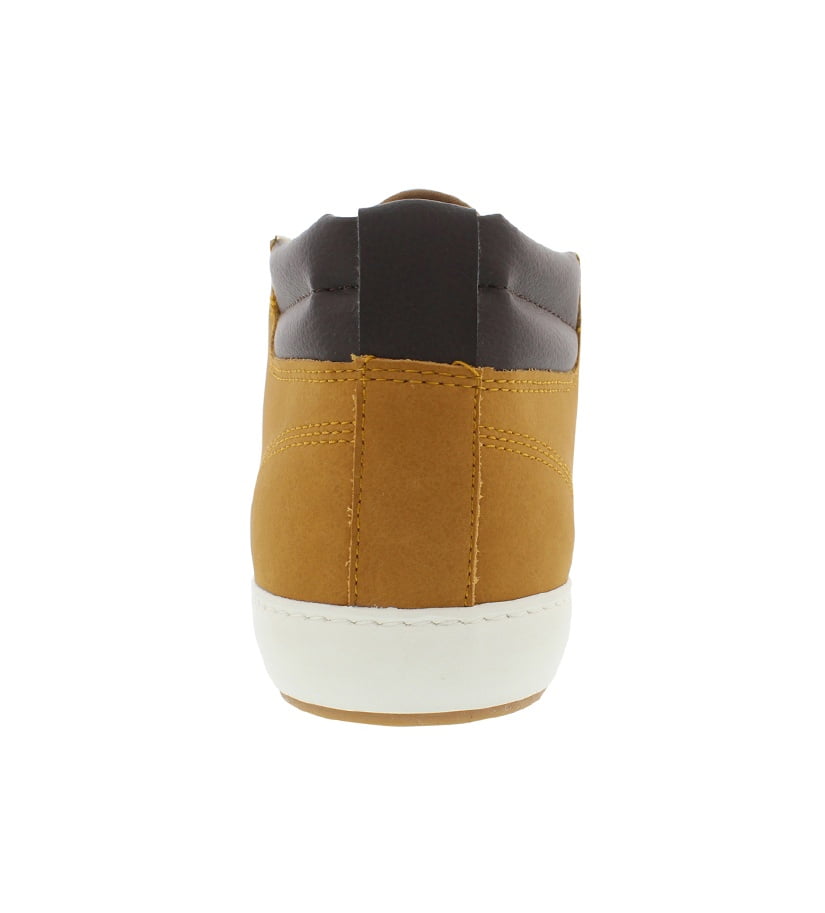 lacoste ampthill terra put