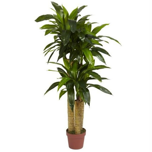 Silk 4 ft. Corn Stalk Dracaena Silk Plant Real Touch