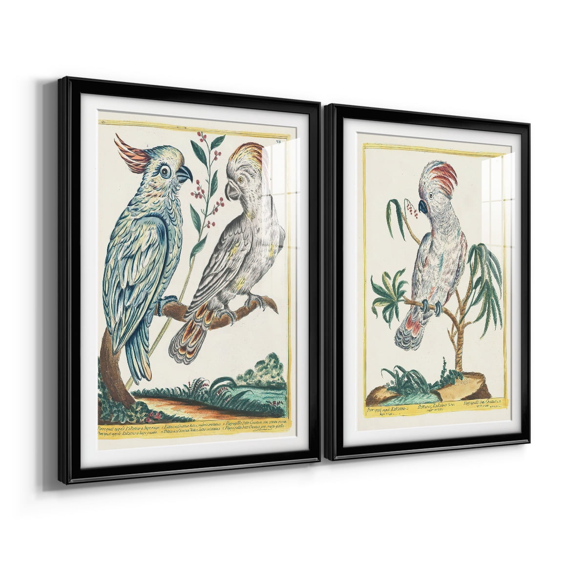 Wexford Home Pastel Birds I Premium Framed Print, 18.5" x 24.5" - Ready to Hang, Black (Set of 2)