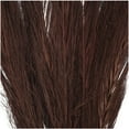 thumbnail image 4 of 35" Tall Dried Plant Natural Foliage Pampas Grass Bouquet, by DecMode, 4 of 7