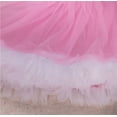 thumbnail image 2 of StylesILove Cute Character Baby Girl Holiday Birthday Party Tutu Dress Romper with Headband 2 pcs Outfit Set (95/18-24 Months, Pink 1st Birthday), 2 of 2