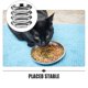 thumbnail image 2 of 2 cuencos de acero inoxidable para gatos, cuencos de comida para gatos, cuencos anchos y poco profundos, cuencos de agua para comida para gatos., 2 of 6