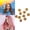 Gold#2*10, variant on CXHEGBEJ 20pcs Hair Jewelry Decoration Clips for Women, Colorful Aluminum Adjustable Metal Hair Rings Accessories for Braids, Dreadlocks, Beads, Cuffs, Rings & Clips Blue*20