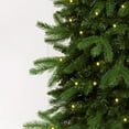 thumbnail image 2 of Easy Treezy 7.5 Foot Pre-Lit Realistic Douglas Fir Artificial Christmas Tree, 2 of 12