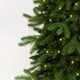 Easy Treezy 7.5 Sapin de Noël Artificiel en Douglas Réaliste Pré-Éclairé Pied – image 2 sur 12