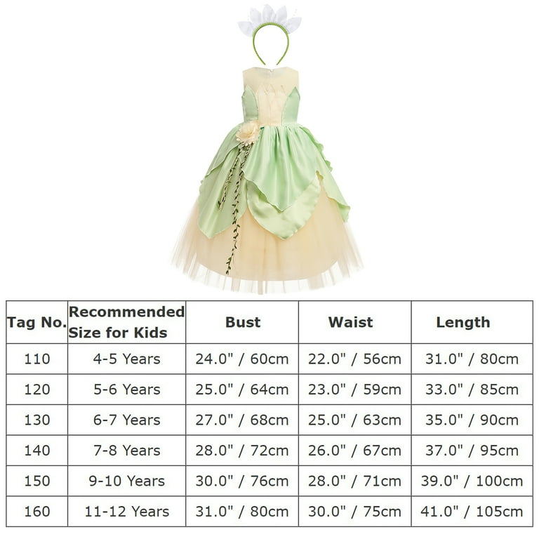 Walmart hot sale tiana costume