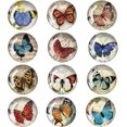 thumbnail image 1 of 12 Pack Butterfly Fridge Magnets 3D Glass Notice Board Office Magnets Set Vintage Butterfly Small Fridge Magnets, 1 of 2