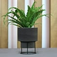 thumbnail image 4 of Ecobo 7.1 inches Eco-Friendly Round Pot Planter Indoor/Outdoor use, Durable, Versatile & Lightweight, Designed by Brazilian Artisans, Contemporary All-Weather Design –Black, 4 of 4