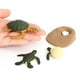 thumbnail image 3 of Juguetes de Tortuga Animal Marino Hugo 2/set Educación Temprana, 3 of 10