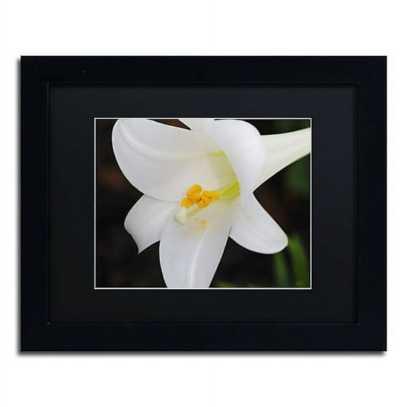 Trademark Fine Art "Easter" Canvas Art by Monica Mize, Black Matte, Black Frame