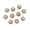 1 Pearl, variant on Elegant Pearls Safety Clasp Secure Clothing Alloy for Formal Event