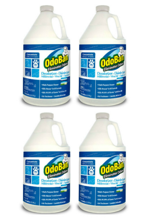 OdoBan Professional Cleaning Odor Eliminator and Disinfectant, Fresh