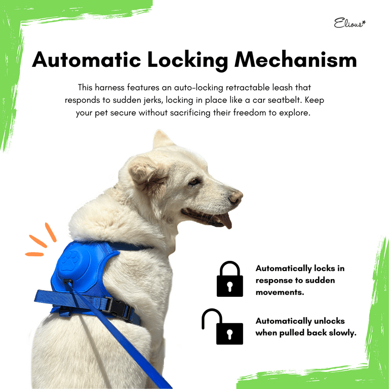 Dog harness with built in leash hot sale